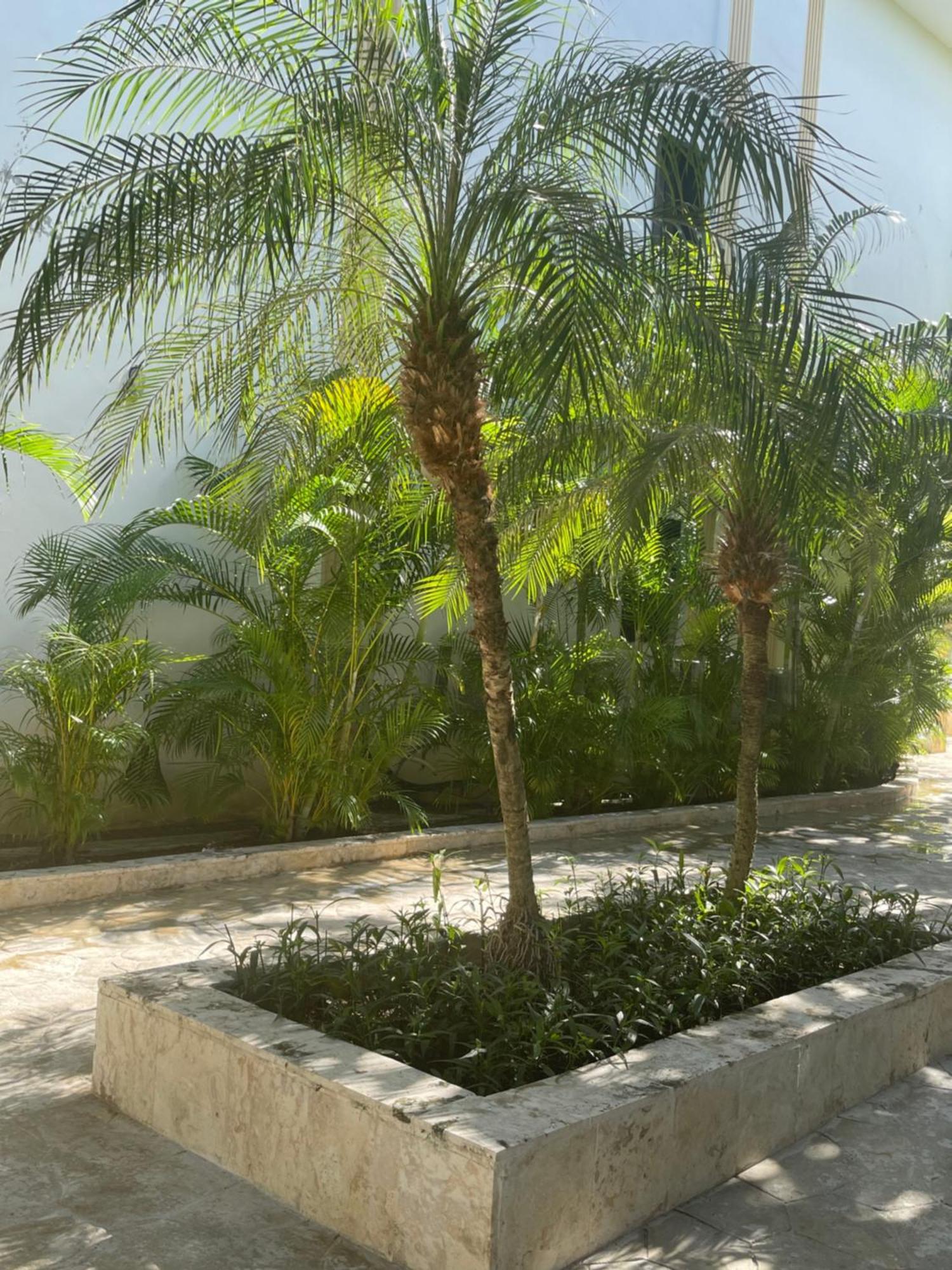 Hotel Plaza Brisas Mt Πούντα Κάνα Εξωτερικό φωτογραφία